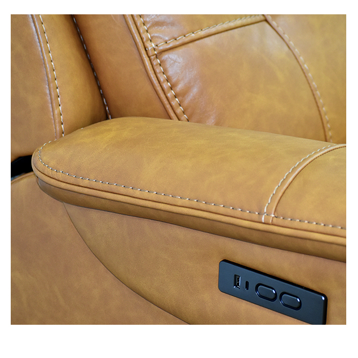 BERGERE RECLINABLE CARRERA - 6
