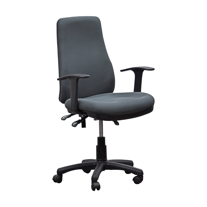 SILLON EJECUTIVO CAPACIT - 2
