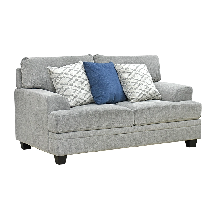 SOFA 2 CUERPOS DAVID SILVER (170 X 100 X 98 CM) - 1