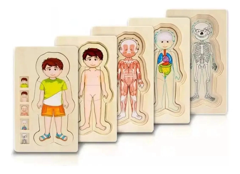 PUZZLE MADERA CUERPO HUMANO NIÑOS - 2