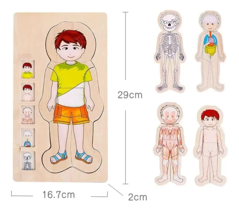 PUZZLE MADERA CUERPO HUMANO NIÑOS - 3