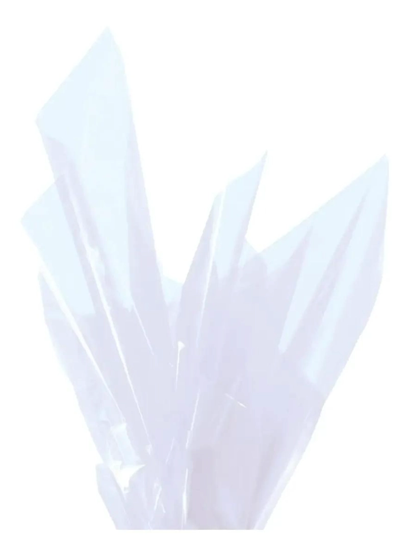 PAPEL CELOFAN 70X100CM 100 PLIEGOS - 2