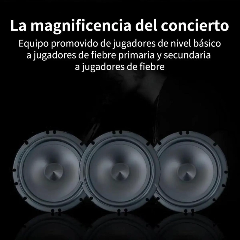 SET DE MEDIOS DE AUDIO PARA VEHICULO 6.5 PULGADAS - 4