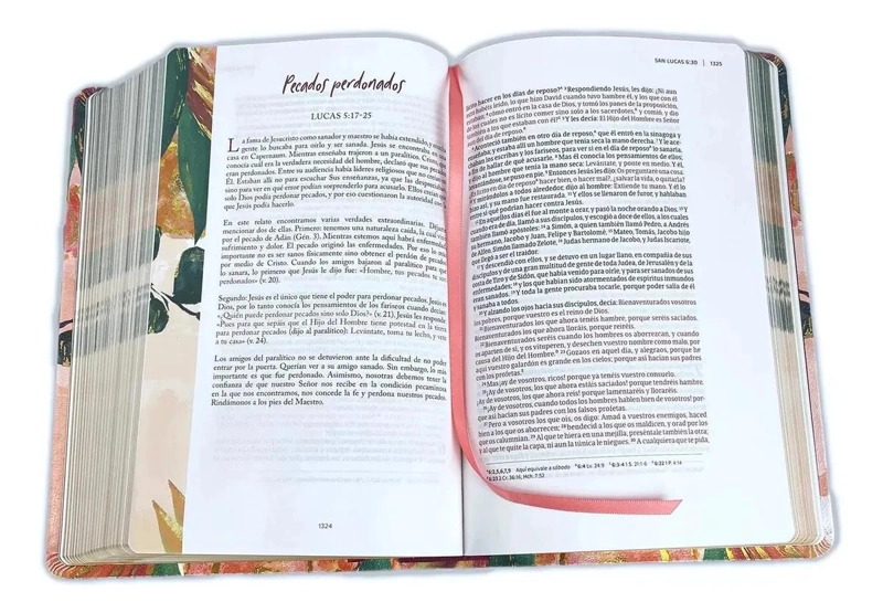 BIBLIA DEVOCIONAL CENTRADA EN CRISTO LUJO - 4