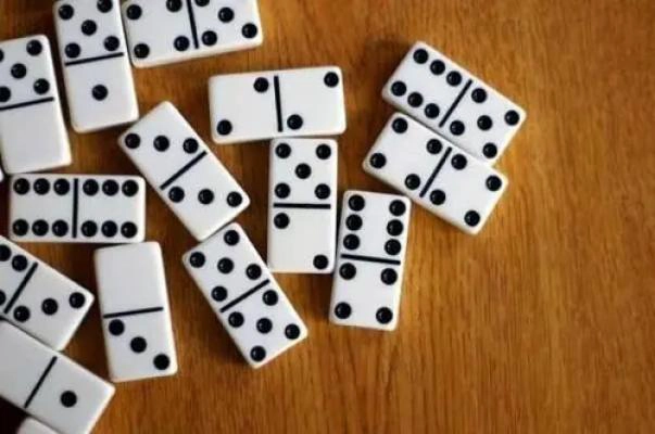 CAMISETA DE JUEGO DOMINO 28 PIEZAS - 4