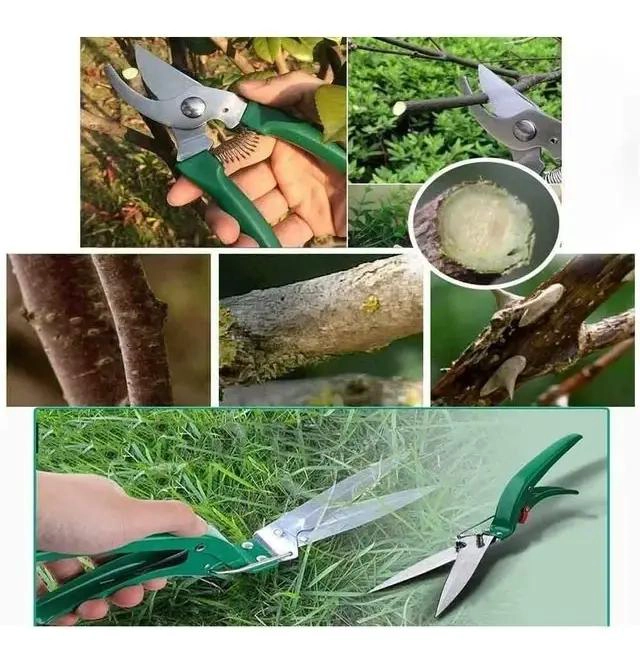 KIT DE HERRAMIENTAS PARA JARDIN 10 PIEZAS CON CAJA - 3