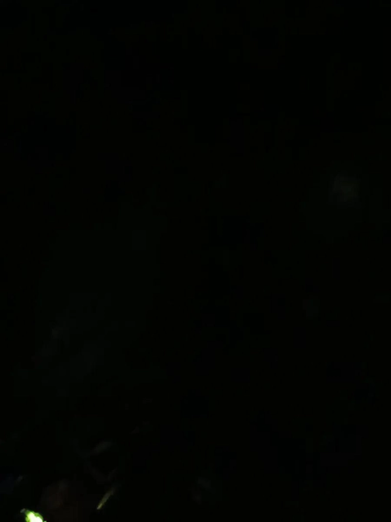 JUEGO DE ESCOBILLAS Y CEPILLO DE ALAMBRE 7 PIEZAS - 5