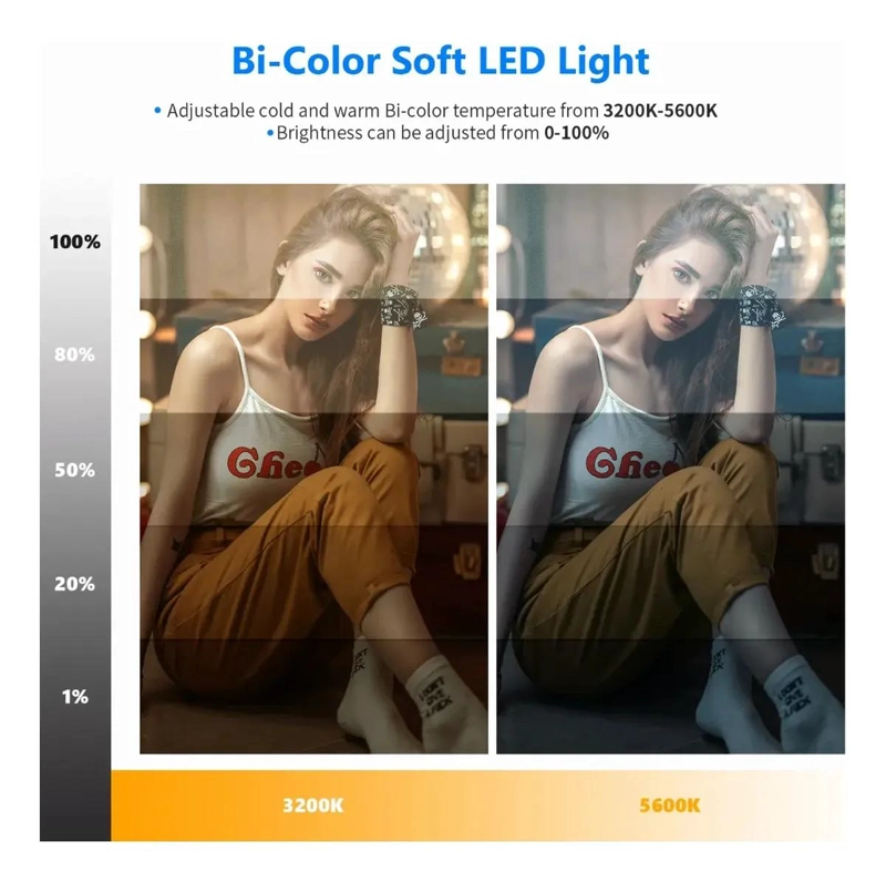 KIT DE LUZ LED PARA VIDEO CON BATERIA, TRIPODE Y BOLSA - 2
