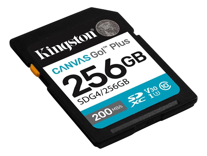 TARJETA DE MEMORIA 256GB CANVAS GO PLUS SDG4 - 2