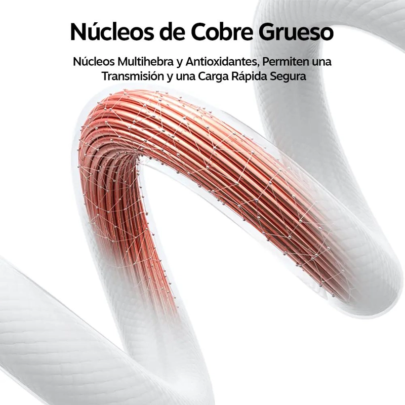 CABLE USB TIPO C A TIPO C 100W 1.2M - 4