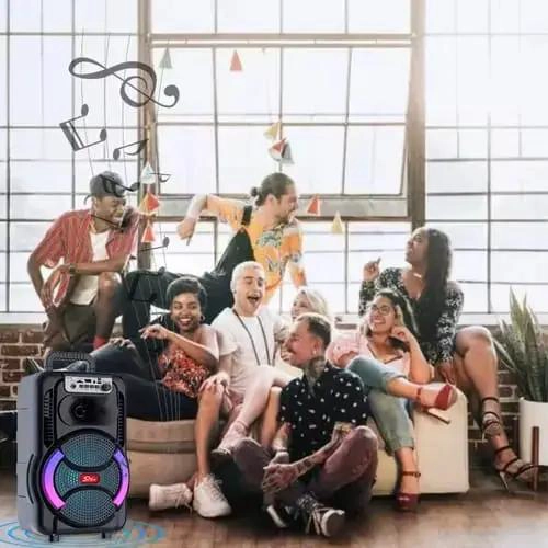 PARLANTE KARAOKE BLUETOOTH 8' CON MICROFONO Y BATERIA 300 - 2