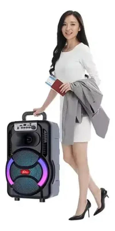 PARLANTE KARAOKE BLUETOOTH 8' CON MICROFONO Y BATERIA 300 - 4