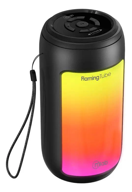 PARLANTE PORTATIL BLUETOOTH CON MICROFONO Y RADIO FM - 3