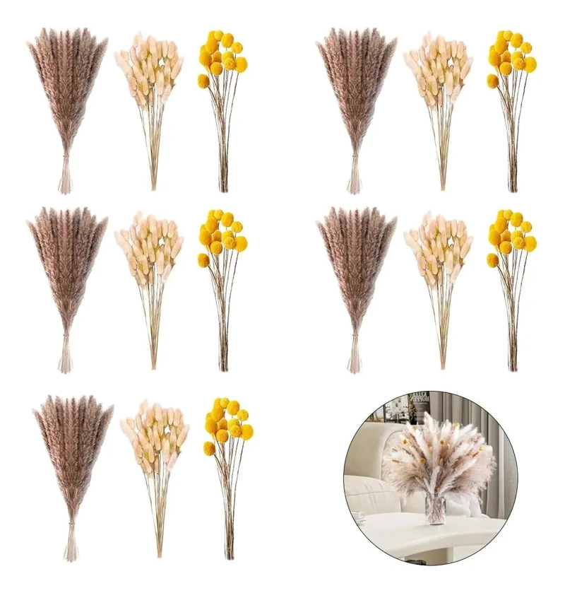 SET 450 PIEZAS FLORES SECAS PAMPAS Y COLA DE CONEJO - 1