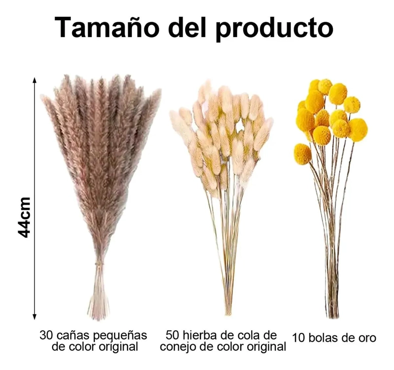 SET 450 PIEZAS FLORES SECAS PAMPAS Y COLA DE CONEJO - 2