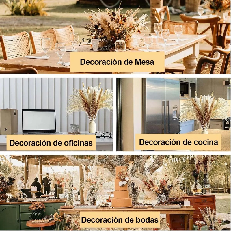 SET 450 PIEZAS FLORES SECAS PAMPAS Y COLA DE CONEJO - 3
