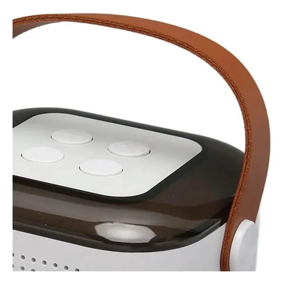 PARLANTE BLUETOOTH KARAOKE CON MICROFONO INALAMBRICO - 5