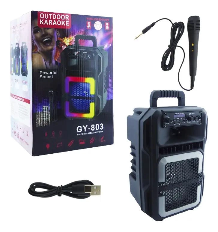 PARLANTE KARAOKE CON MICROFONO Y ALTAVOZ INTEGRADO - 2