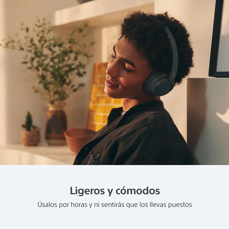 AUDIFONOS INALAMBRICOS CON CANCELACION DE RUIDO WH-CH720N - 3
