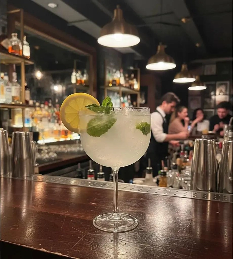 SET 5 COPAS GRANDES PARA GIN TONIC REUTILIZABLES - 5