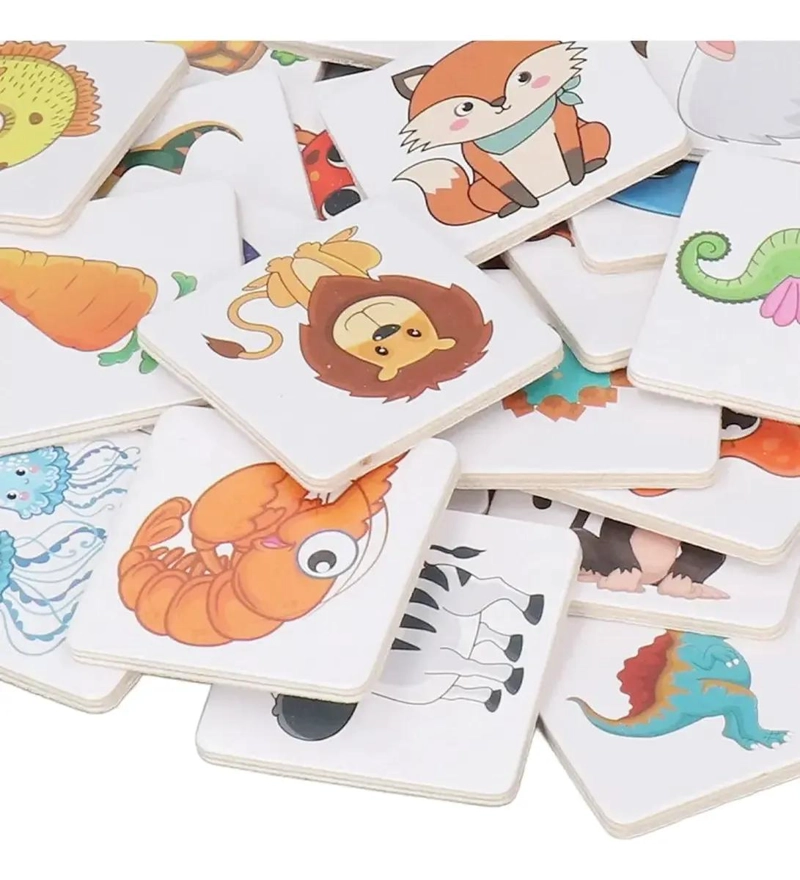 TARJETA DE MEMORIA EDUCATIVA SHADOW MATCHING - 4