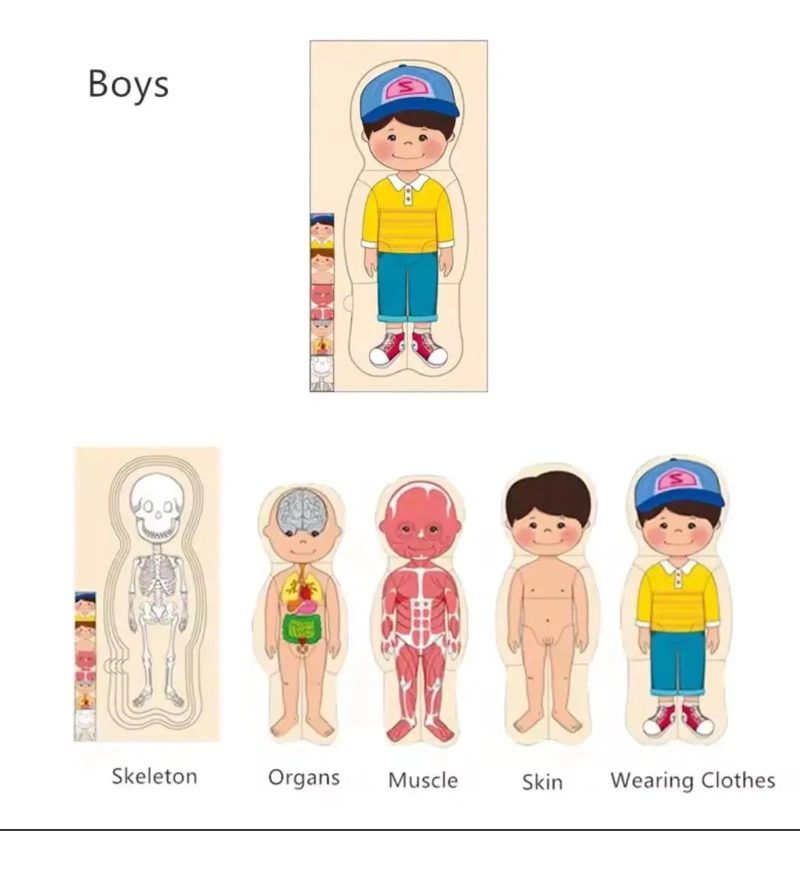 ROMPECABEZAS EDUCATIVO DEL CUERPO HUMANO PARA NIÑOS - 2