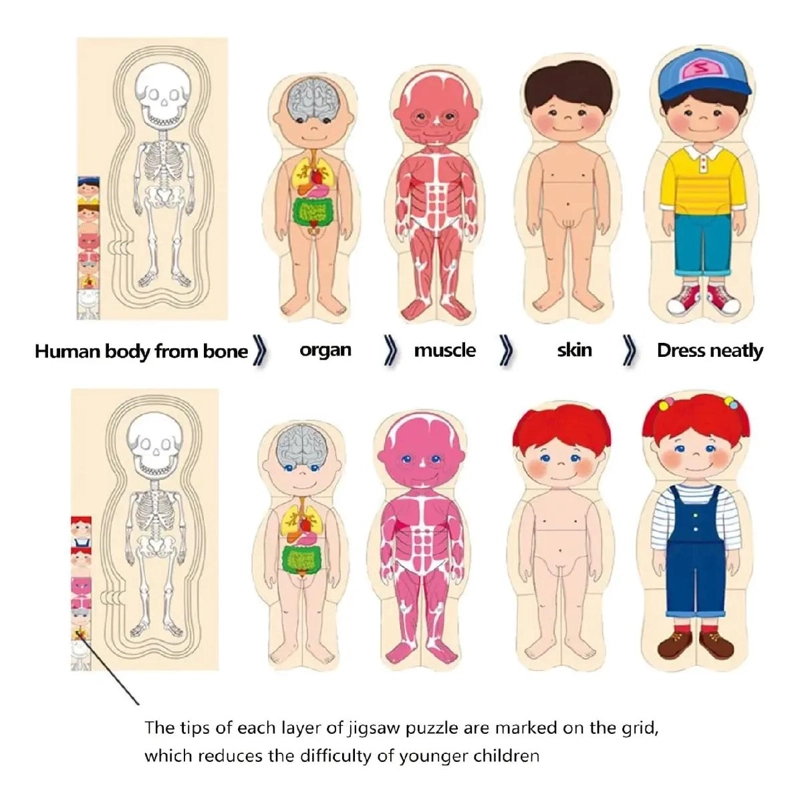 ROMPECABEZAS DE MADERA CUERPO HUMANO 5 EN 1 - 5