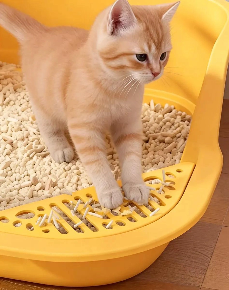 CAJA ARENERO GRANDE PARA GATOS CON PALA INTEGRADA Y DISEÑO ABIERTO - 4