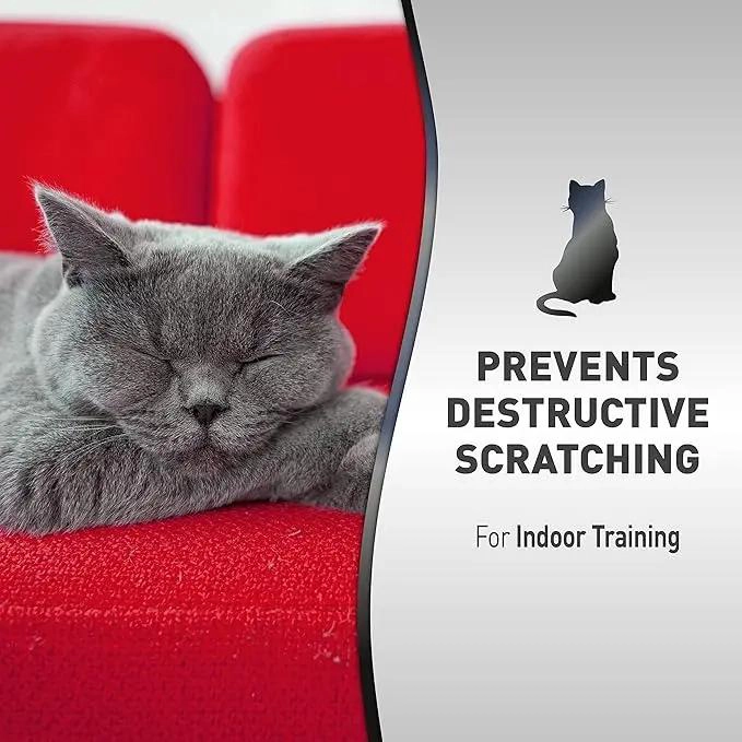 AEROSOL PROTECTOR PARA GATOS QUE PREVIENE ARAÑAZOS EN SUPERFICIES 240 ML - 2
