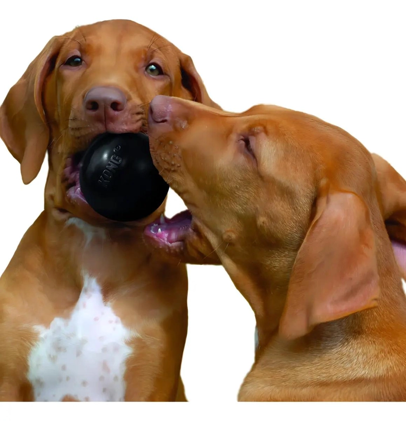PELOTA DE GOMA RESISTENTE PARA PERRO MEDIANO CON ALTA DURABILIDAD - 5