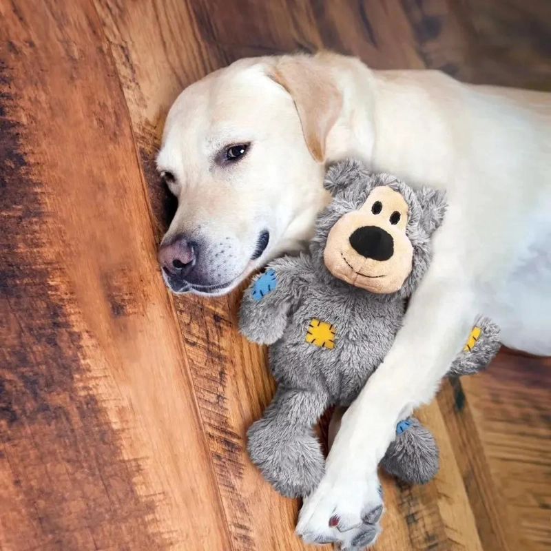 JUGUETE PARA PERROS CON NUDOS Y DISEÑO DE OSO TAMAÑO MEDIANO A GRANDE - 3