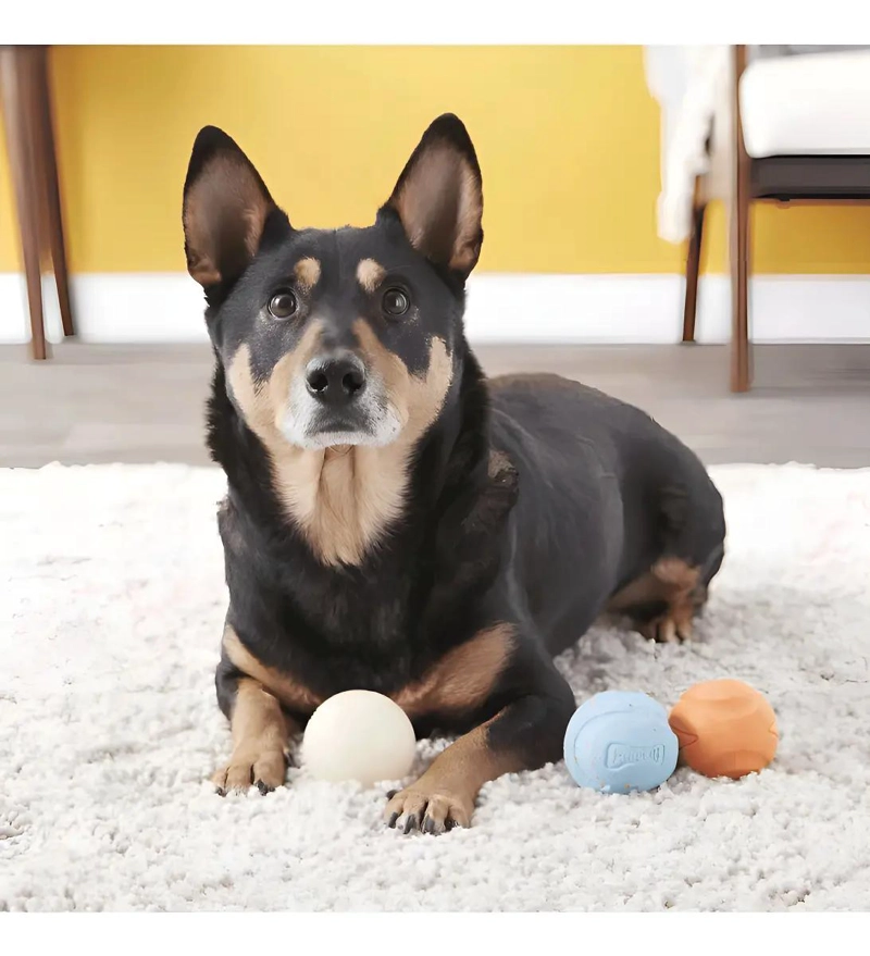 PELOTAS DE GOMA CON SONIDO PARA PERRO TAMAÑO MEDIANO 6.3 CM - 5