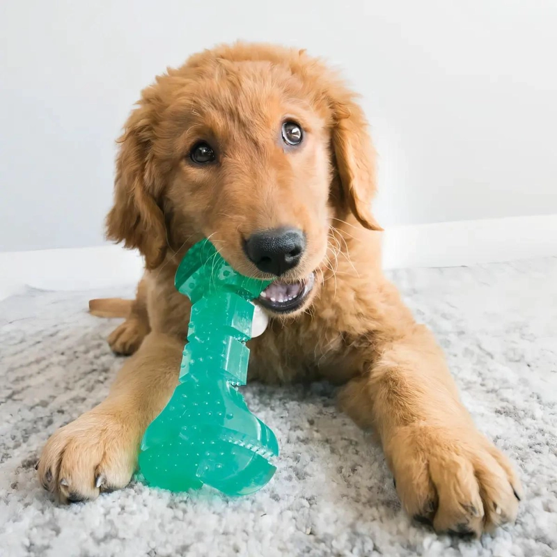 JUGUETE PARA PERROS HUESO DENTAL PARA HIGIENE Y ENTRETENIMIENTO - 3