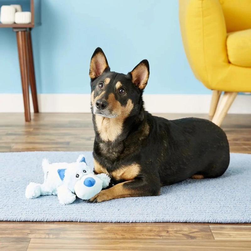 CAMA PARA PERRO BAILY EN COLOR AZUL CON DISEÑO COMODO Y SUAVE - 3