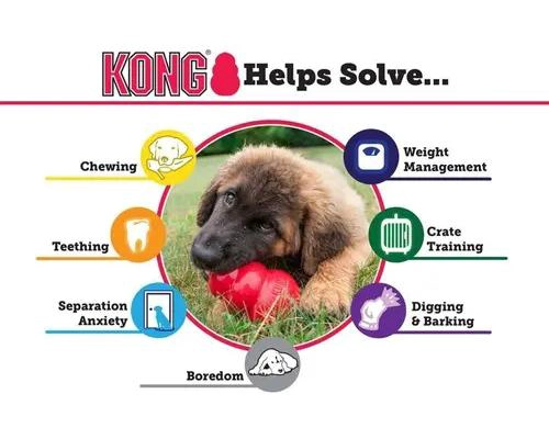 PELOTA INTERACTIVA PARA PERRO MEDIANO CON LAZO RESISTENTE Y DISEÑO ROJO - 1