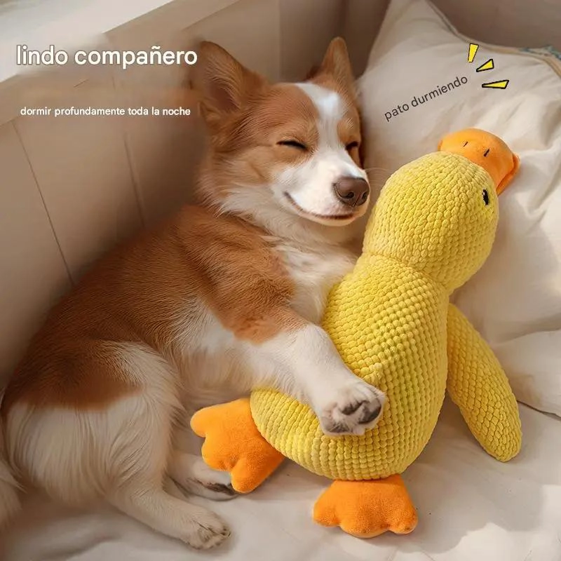 JUGUETES INTERACTIVOS CON SONIDO PARA PERROS PEQUEÑOS Y MEDIANOS - 4