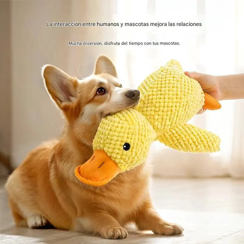 JUGUETES INTERACTIVOS CON SONIDO PARA PERROS PEQUEÑOS Y MEDIANOS - 5