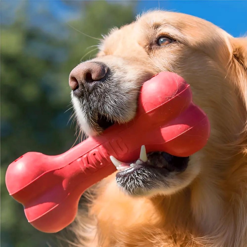 JUGUETE HUESO CLASICO RELLENABLE PARA PERRO MEDIANO - 2