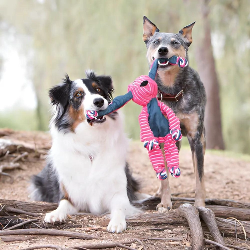 PELUCHE PARA PERROS EN FORMA DE ZORRO NARANJA CON SONIDO Y NUDOS RESISTENTES - 3