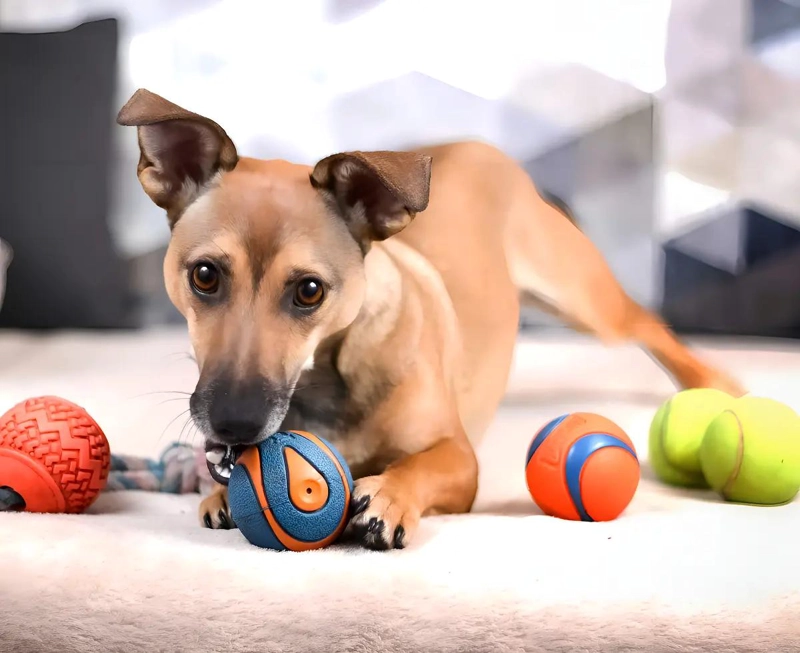 PELOTA DE GOMA PARA PERRO CON SONIDO ULTRA SQUEAKER DE 7.4 CM - 5
