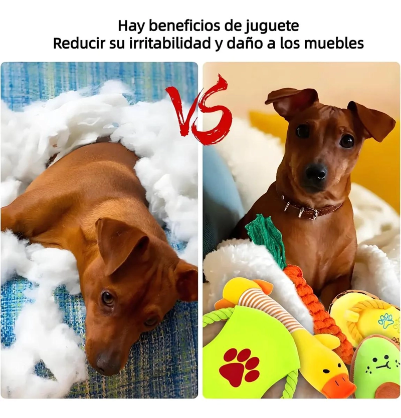 SET COMPLETO DE 28 JUGUETES PARA MASCOTAS CON PELOTA DE CUERDA Y DISCO - 4