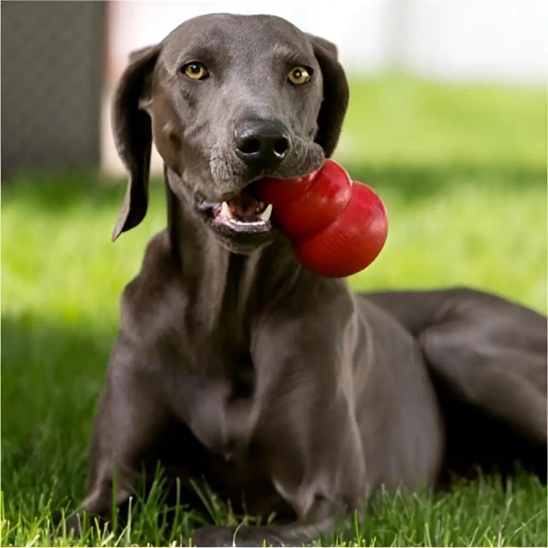 JUGUETE INTERACTIVO CLASICO PARA PERROS TAMAÑO MEDIANO COLOR ROJO - 5