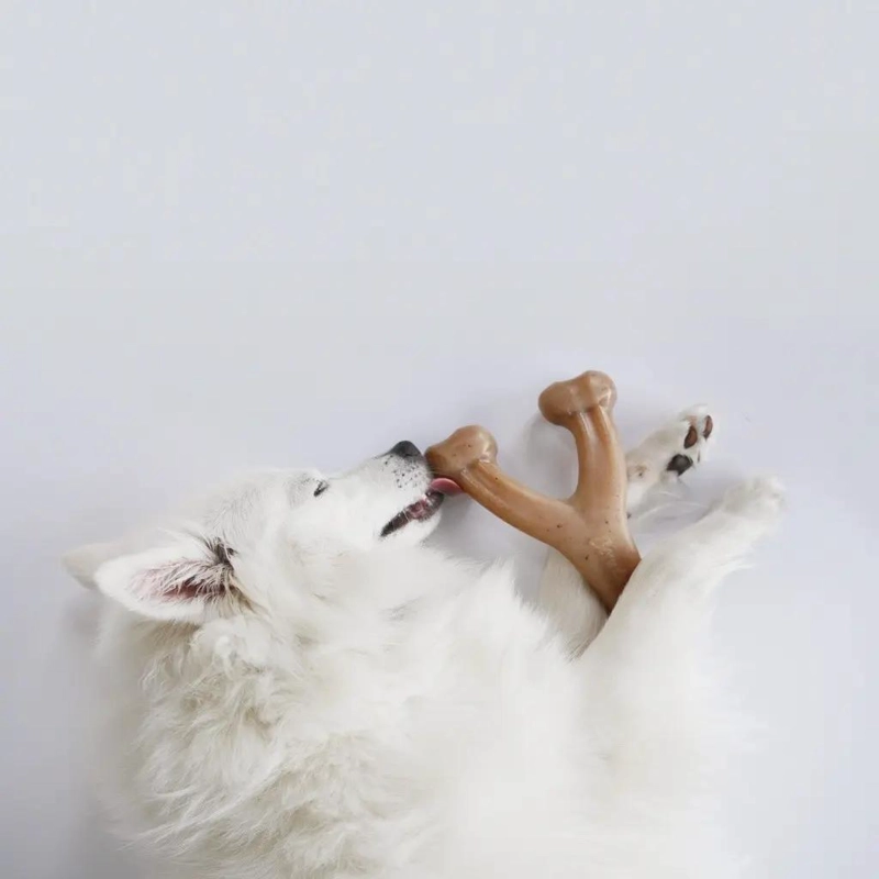 JUGUETE MASTICABLE PARA PERRO CON SABOR A POLLO TAMAÑO S - 2