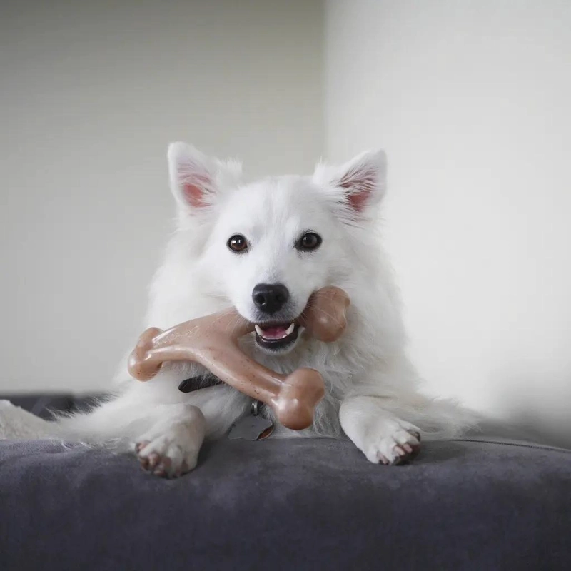 JUGUETE MASTICABLE PARA PERRO CON SABOR A POLLO TAMAÑO S - 3