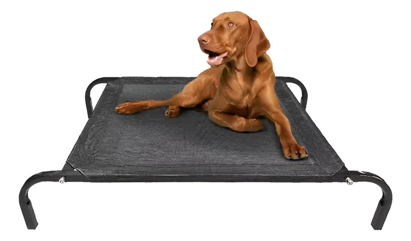 CAMA ELEVADA PARA PERRO MEDIANO CON DISEÑO ANTIESTRES - 2