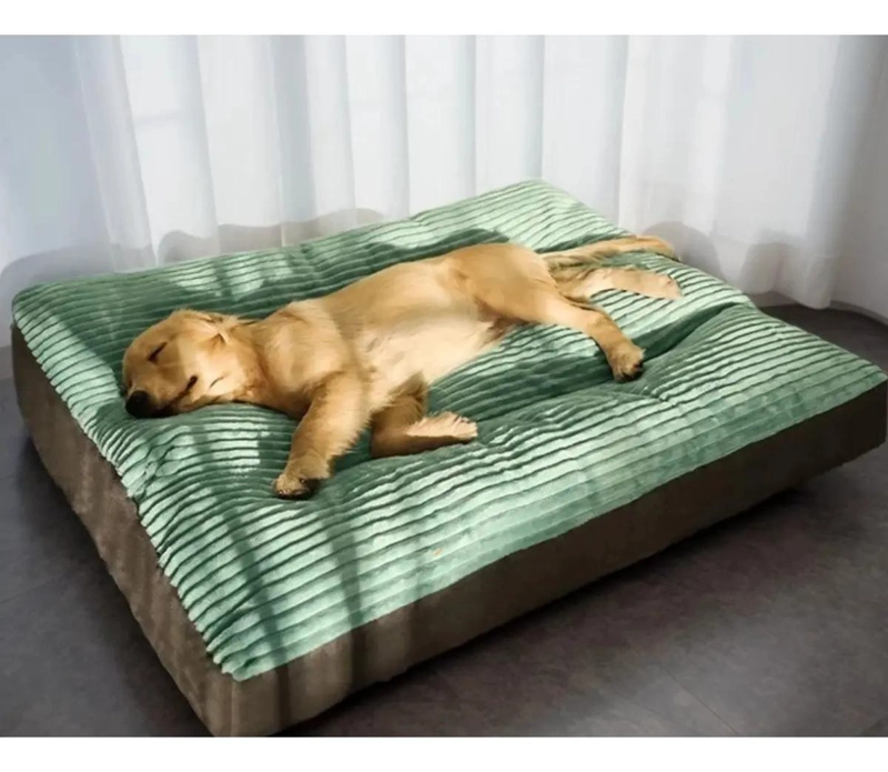 CAMA COLCHON ORTOPE DICO EXTRA GRANDE PARA PERROS HASTA 100 LIBRAS - 2