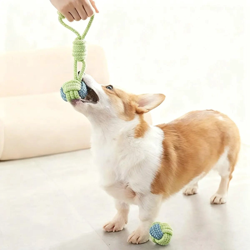 PAQUETE DE 10 JUGUETES PARA PERRO CON BOLAS Y CUERDAS RESISTENTES - 2