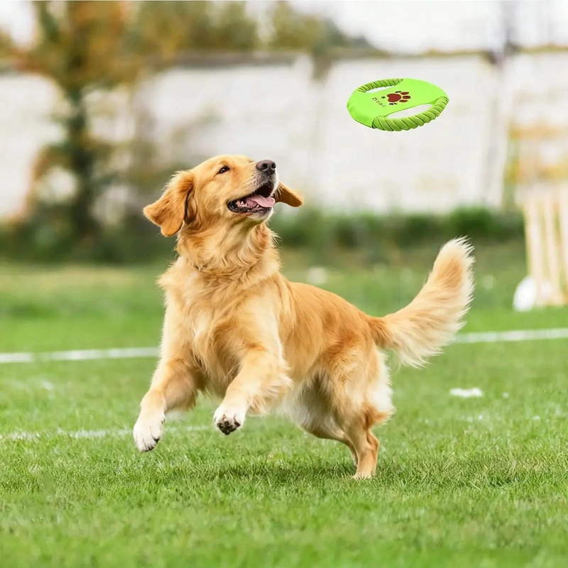 PAQUETE DE 10 JUGUETES PARA PERRO CON BOLAS Y CUERDAS RESISTENTES - 3