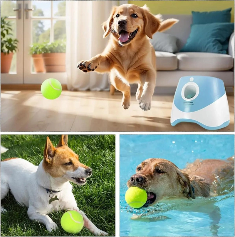 LANZADOR AUTOMATICO DE PELOTAS PARA JUEGO INTERACTIVO CON PERROS - 4