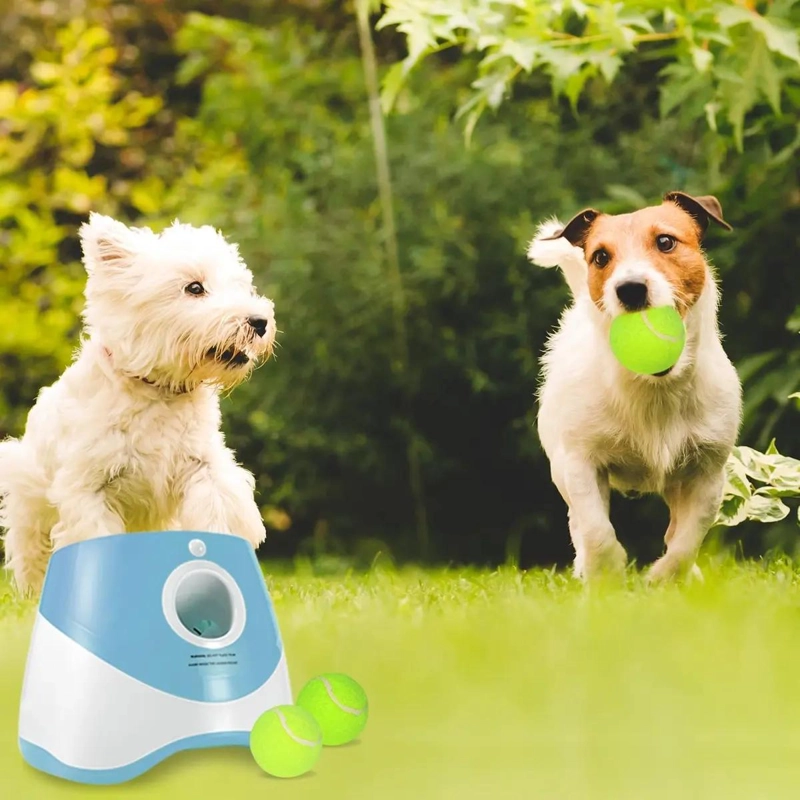 LANZADOR AUTOMATICO DE PELOTAS PARA JUEGO INTERACTIVO CON PERROS - 5